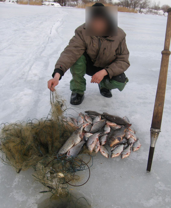 На Кременчуцькому водосховищі сітками ловлять рибу - фото 1