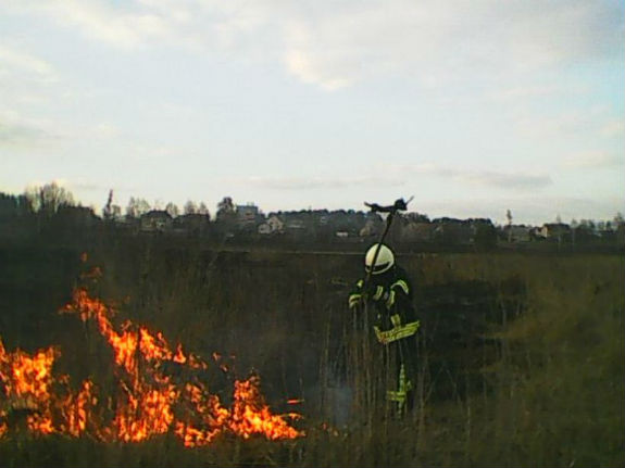 На Київщині масово горить сухостій  - фото 3