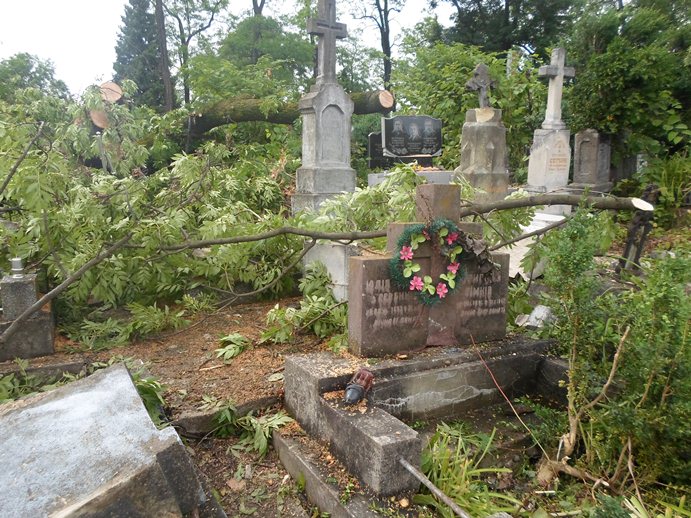 На Прикарпатті буревій повалив старовинні надгробки на цвинтарі  - фото 2
