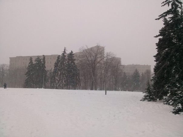 У Харкові розпочався потужний снігопад - фото 1