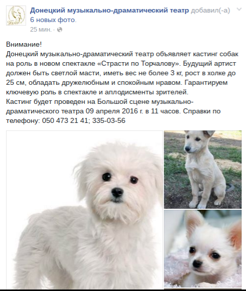 В окупованому Донецьку драмтеатр оголосив кастинг на роль собаки - фото 1