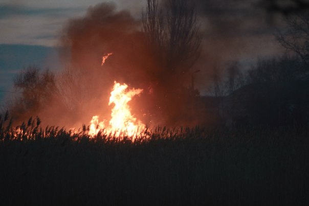 У миколаєві підпалили парк "Богоявленський" - фото 1