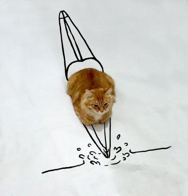 Як звичайний кіт може перетворитися у неймовірні ілюстрації - фото 3