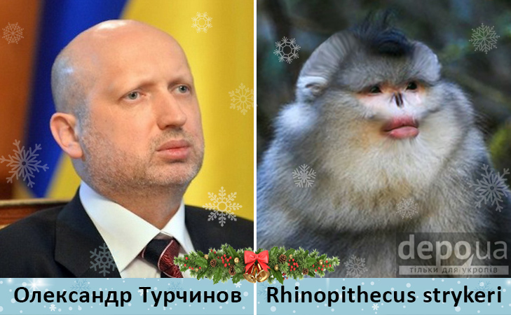 Політики та мавпи - фото 7 Політики та мавпи - фото 7
