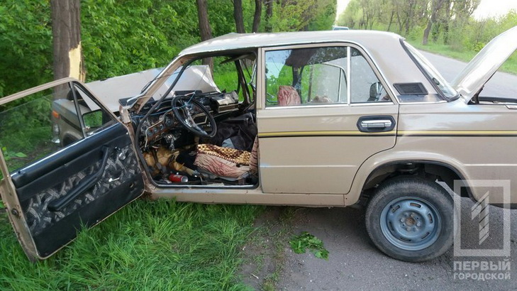На Дніпропетровщині автівка з священниками врізалась у дерево - фото 2
