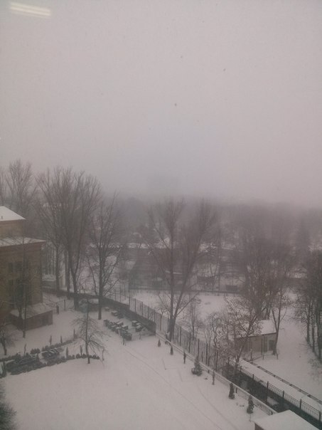У Харкові розпочався потужний снігопад - фото 6
