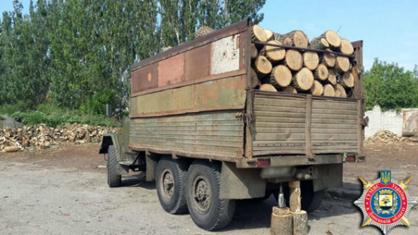 На Донеччині чиновники заробляли по 10 мільйонів на місяць на незаконній вирубці лісу (ФОТО) - фото 1