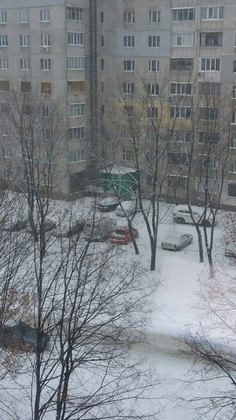 Харків п’яту годину засипає снігом: пересуватися містом все важче  - фото 4