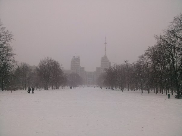 У Харкові розпочався потужний снігопад - фото 5