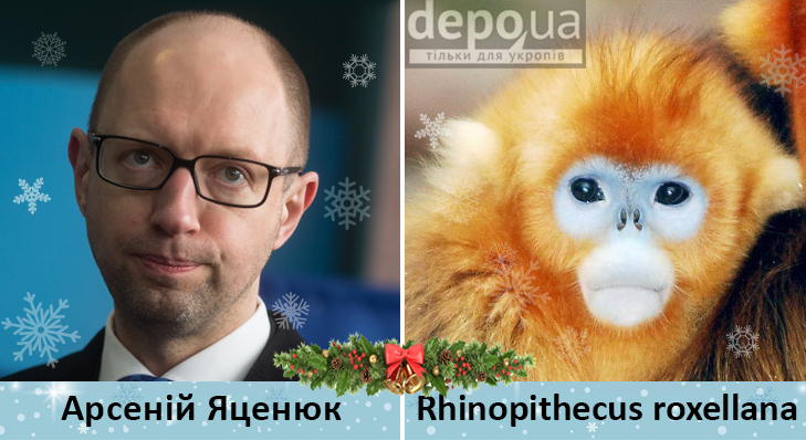 Політики та мавпи - фото 5 Політики та мавпи - фото 5