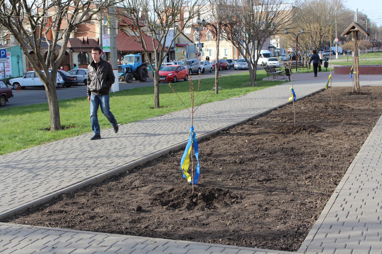 Миколаївський сквер Ради Європи поповнили 24 сакурами