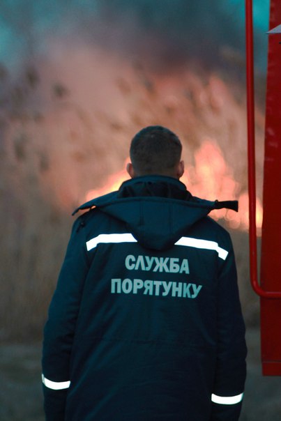У миколаєві підпалили парк "Богоявленський" - фото 3