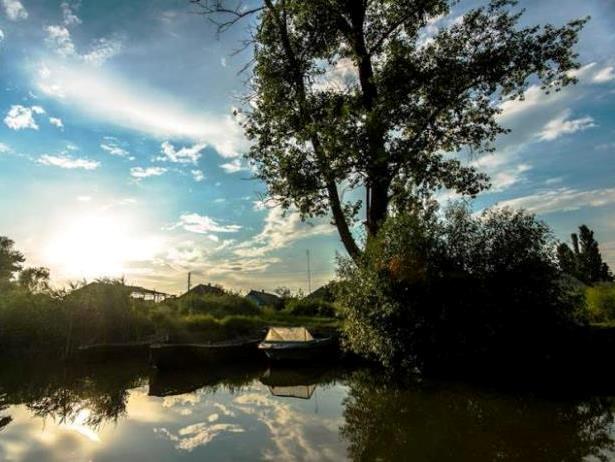 Дунайський біосферний заповідник знаходиться під загрозою - фото 2