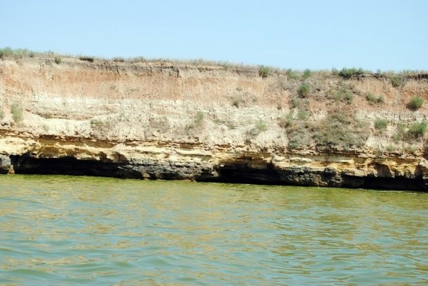 Стерті морем загадкові барельєфи острову Березань - фото 2