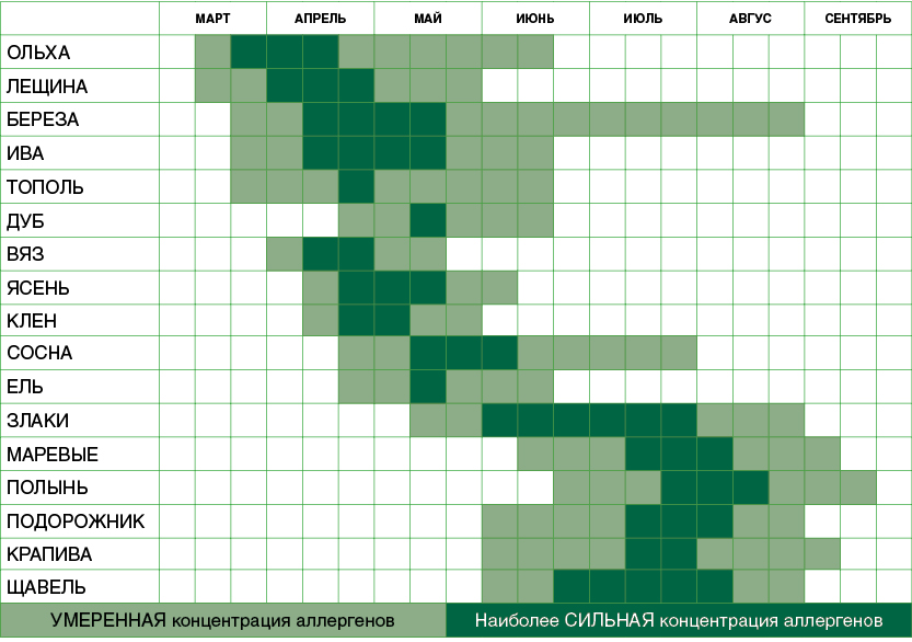 Карта пыления для аллергиков. Таблица цветения растений. Таблица цветения деревьев. График цветения деревьев. Растения вызывающие аллергию в июне.