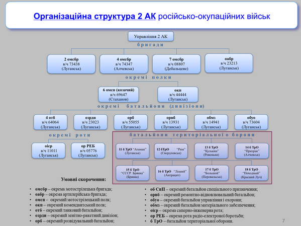 Структура гібридної армії "Новоросії" (ІНФОГРАФІКА) - фото 2