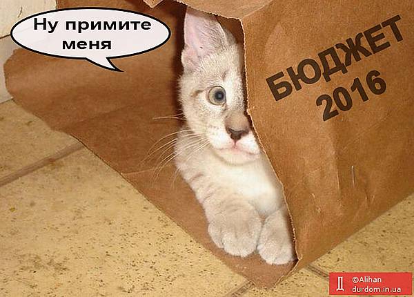 Як соцмережі відреагували на бюджет-2016 (ФОТОЖАБИ) - фото 1 Як соцмережі відреагували на бюджет-2016 (ФОТОЖАБИ) - фото 1