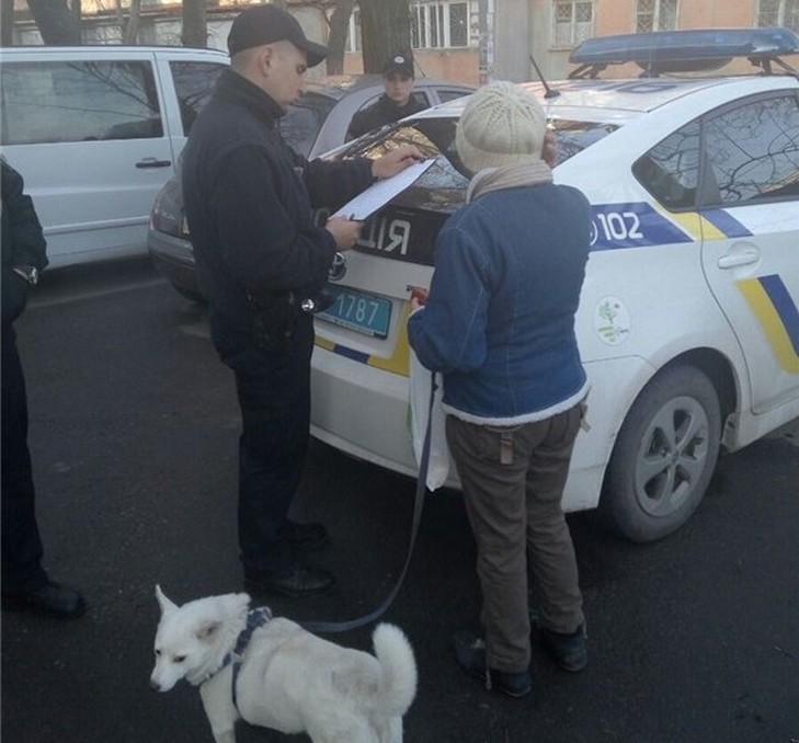 В Одесі догхантери жорстоко зарізали собаку - фото 2