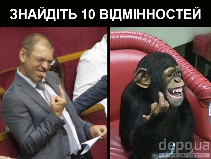 ЦВК зареєструвала кандидата, який вказав місцем свого народження Абхазію - Цензор.НЕТ 2700