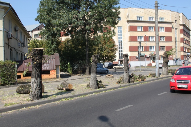 В центрі Львова замість дерев залишилися пеньки - фото 2