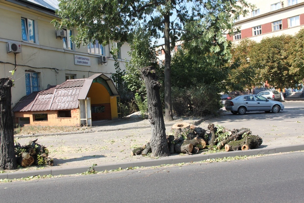 В центрі Львова замість дерев залишилися пеньки - фото 1