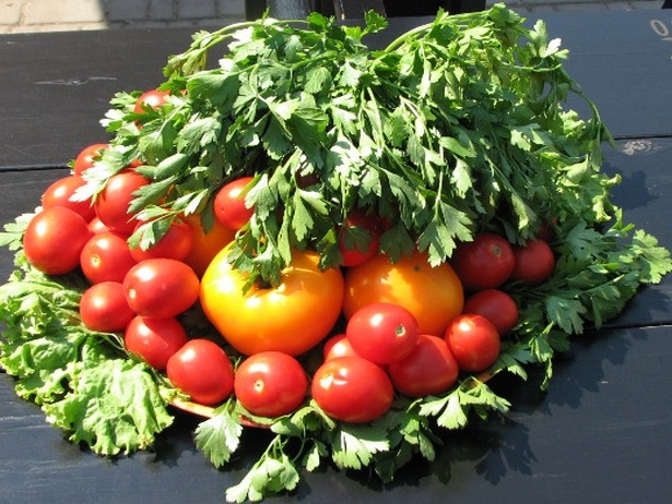 В Одесі пройде свято "День помідора" - фото 2