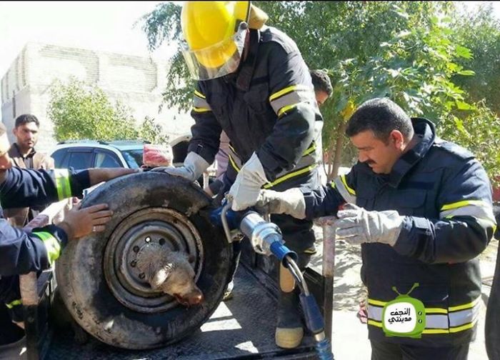 Як в Іраку рятували собаку, який застряг в колесі - фото 1 Як в Іраку рятували собаку, який застряг в колесі - фото 1