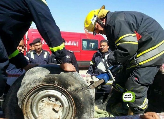 Як в Іраку рятували собаку, який застряг в колесі - фото 3 Як в Іраку рятували собаку, який застряг в колесі - фото 3