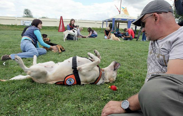 Як волонтери з канади тренують собак-помічників для бійців АТО - фото 1