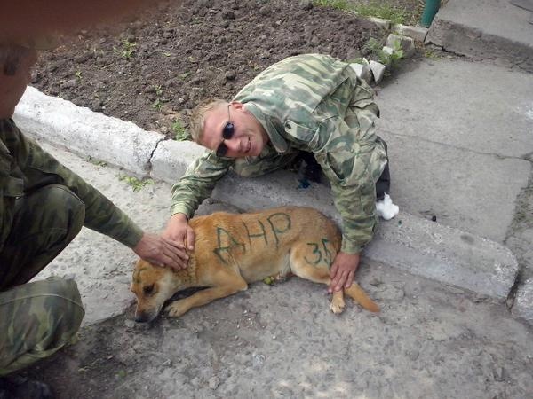 Бойовики "ДНР" показали, як знущаються над тваринами (ФОТО) - фото 1