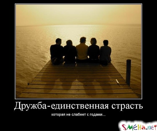 День дружби: 20 картинок і софізмів про найважливіше - фото 10