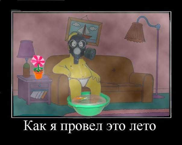 Їжачок в тумані і гламурний протигаз: ТОП-13 приколів про смог у Києві - фото 13 Їжачок в тумані і гламурний протигаз: ТОП-13 приколів про смог у Києві - фото 13