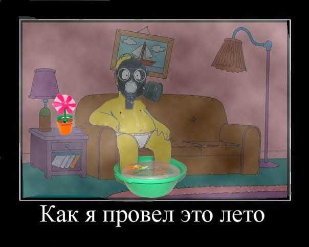 Їжачок в тумані і гламурний протигаз: ТОП-13 приколів про смог у Києві - фото 13