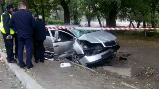 Внасідок ДТП у Львові постраждали водій з собакою - фото 2