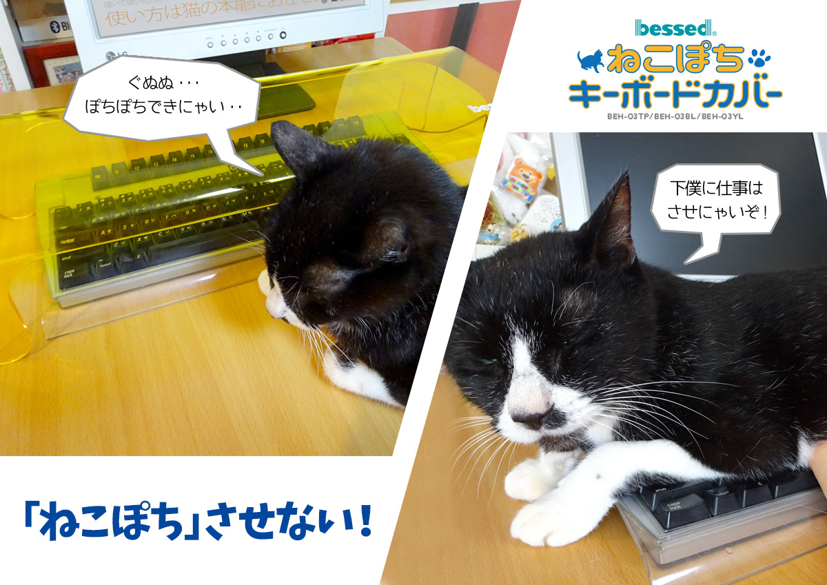 У Японії винайшли захист клавіатури від котів - фото 1