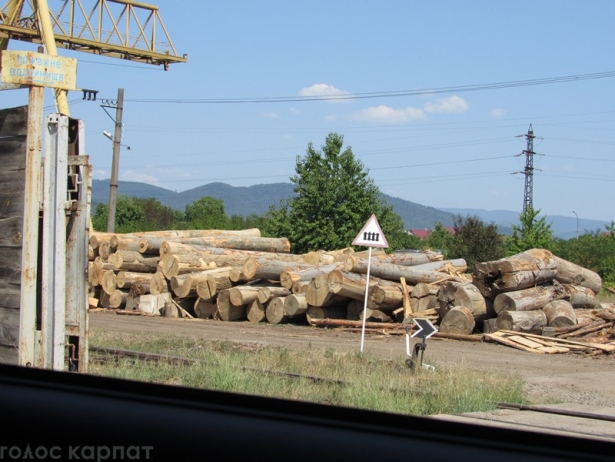 З Мукачева вивозять великі партії деревини - фото 1