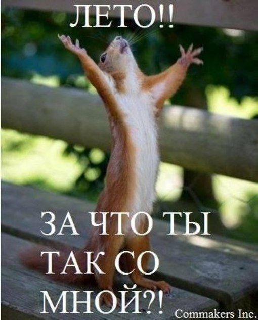Отаке х...ве літо: як соцмережі обурюються з приводу холоду і дощу (ФОТОЖАБИ) - фото 4 Отаке х...ве літо: як соцмережі обурюються з приводу холоду і дощу (ФОТОЖАБИ) - фото 4