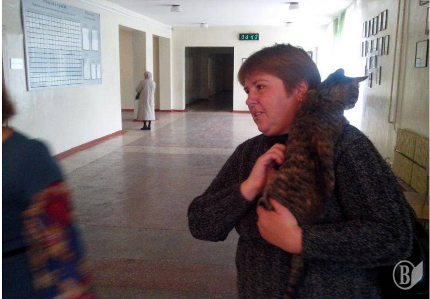 У Чернігові прийшла голосувати кішка - фото 3