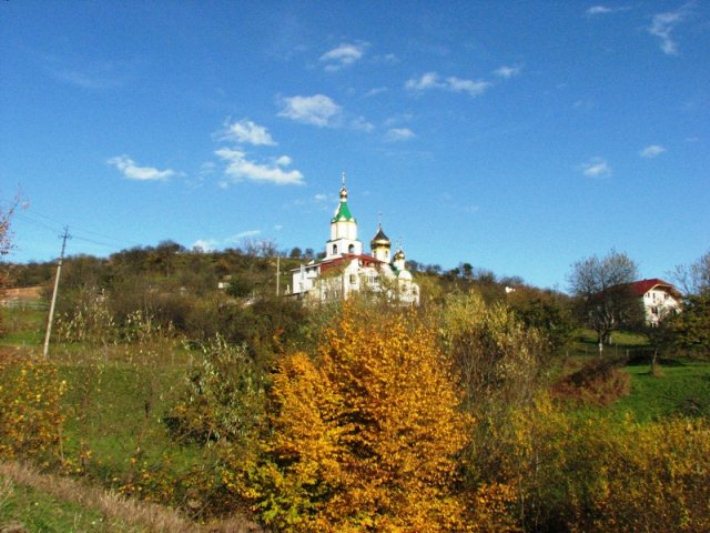 Зелені свята: Подорожуємо святими місцями Закарпаття - фото 1