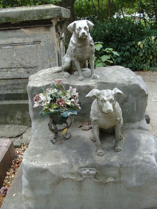 Які могили бувають у домашніх тварин - фото 4