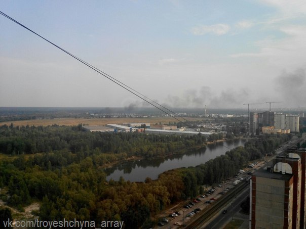 У Дарницькому районі палають ліси (ФОТО) - фото 2