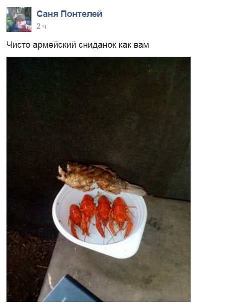 Атошна їжа: який зв'язок між кішкою та салатом олів'є - фото 7 Атошна їжа: який зв'язок між кішкою та салатом олів'є - фото 7