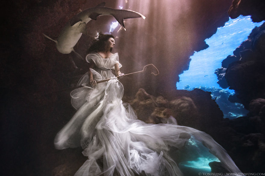 Як фотограф наказав моделям пірнати в розкішних сукнях під воду заради акул - фото 4