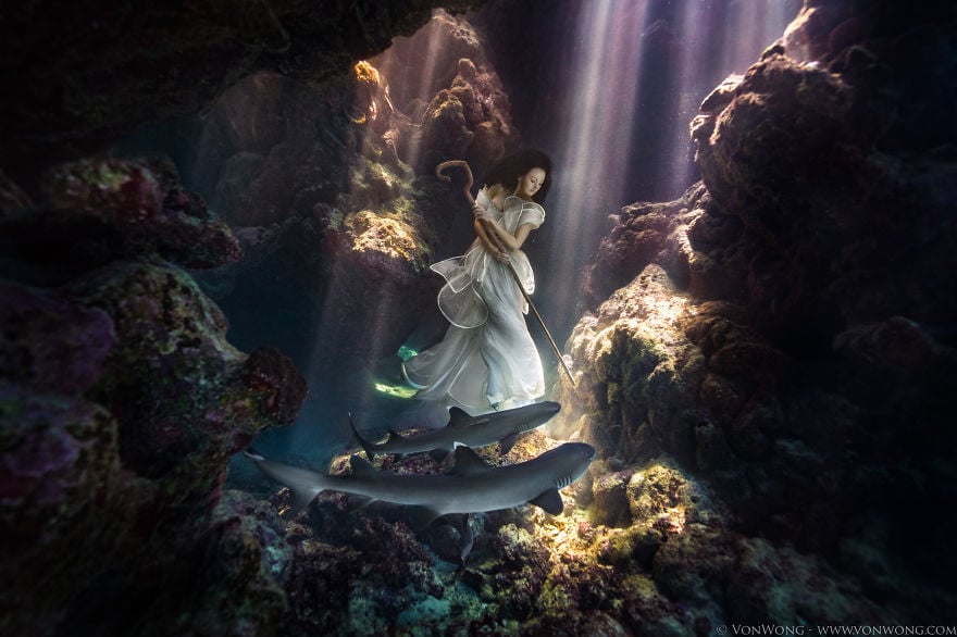Як фотограф наказав моделям пірнати в розкішних сукнях під воду заради акул - фото 1