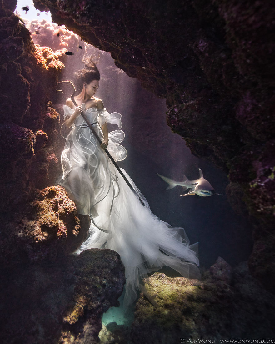 Як фотограф наказав моделям пірнати в розкішних сукнях під воду заради акул - фото 2