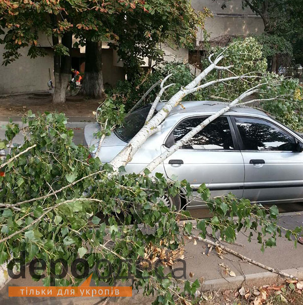 В Одесі шторм трощить автівки - фото 3