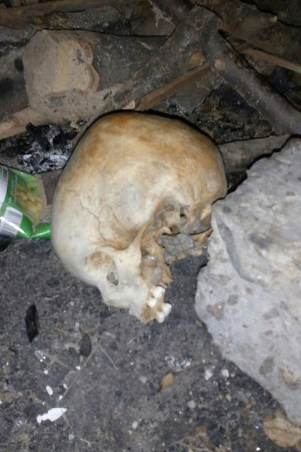 У Харкові біля дитмайданчика знайшли череп  - фото 1