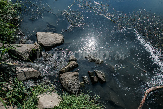 У центрі Ужгорода в річку зливають каналізацію - фото 1