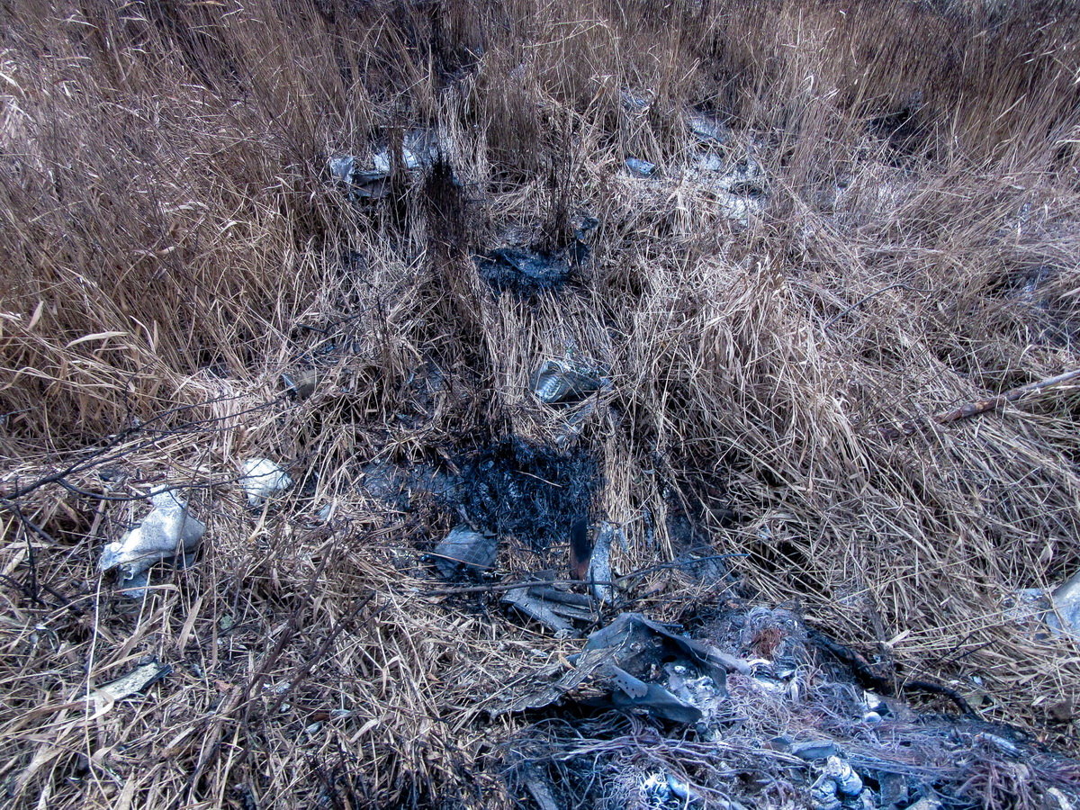З'явилися фото з місця падіння літака СУ-25 під Запоріжжям - фото 11