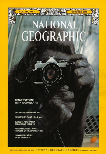20 найкращих обкладинок National Geographic - фото 3